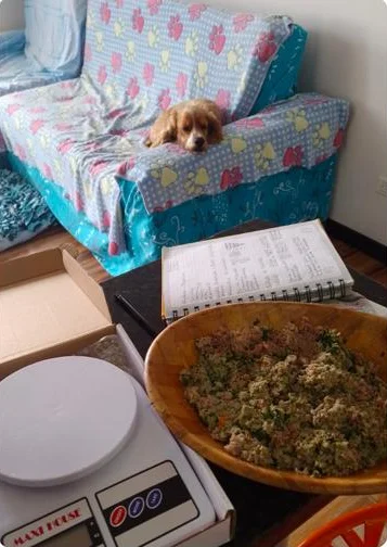 Comida casera recién preparada con un perro descansando al fondo