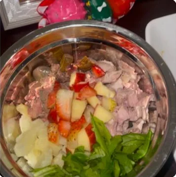 Plato con carne, frutas y vegetales para un perro